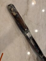 IMG_3743.jpeg
