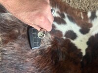 IMG_1578.jpeg