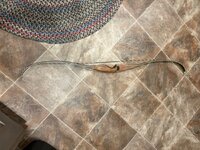 IMG_3384.jpeg