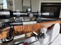 IMG_7373.jpeg