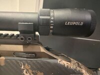 IMG_0684.jpeg