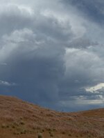IMG_1084.jpeg