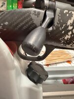IMG_4750.jpeg