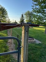 IMG_3531.jpeg
