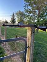 IMG_3532.jpeg