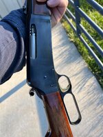 IMG_3534.jpeg