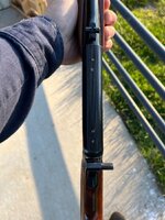 IMG_3533.jpeg