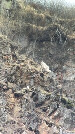 IMG_2508.jpeg