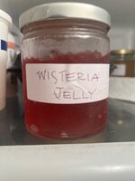 IMG_4161.jpeg