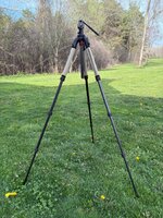 IMG_0732.jpeg