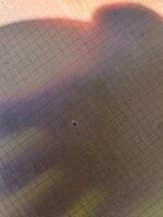20260523_104502.jpg