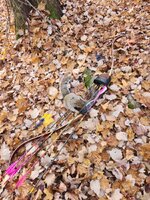 1102_101210.jpg