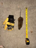 IMG_3824.jpeg
