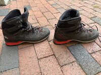 IMG_6239.jpeg