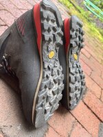 IMG_6242.jpeg