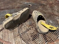 IMG_7680.jpeg