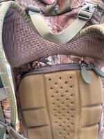 IMG_2294.jpeg