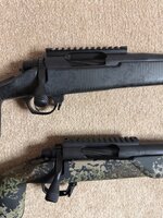 IMG_3325.jpeg