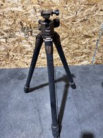 IMG_4119.jpeg