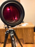 IMG_3834.jpeg