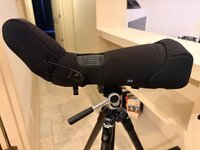 IMG_3833.jpeg