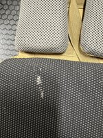 IMG_2456.jpeg