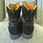 IMG_7962.jpeg