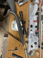 IMG_0317.jpeg