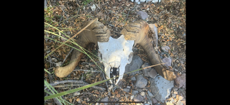 IMG_4430.png IMG_4430.png