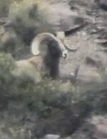 IMG_4444.jpeg IMG_4444.jpeg