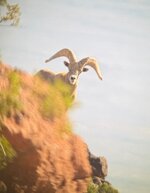 IMG_4450.jpeg IMG_4450.jpeg