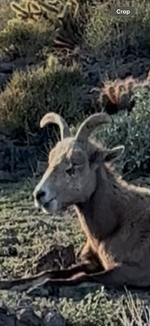 IMG_4457.png IMG_4457.png