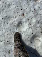 IMG_1509.jpeg