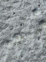 IMG_1508.jpeg