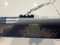 IMG_1499.jpeg