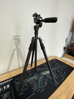 IMG_1685.jpeg