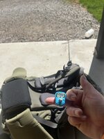 IMG_3787.jpeg
