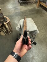 IMG_8016.jpeg