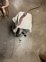 IMG_8021.jpeg