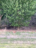 IMG_0674.jpeg