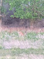 IMG_0693.jpeg