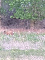 IMG_0700.jpeg