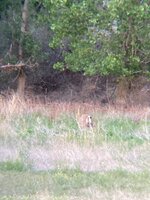 IMG_0708.jpeg
