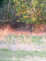 IMG_0714.jpeg