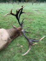 IMG_1645.jpeg IMG_1645.jpeg
