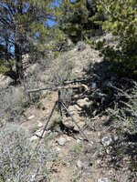 IMG_6285.jpeg