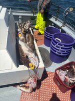 IMG_2280.jpeg