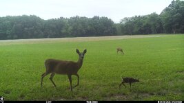 IMG_3154.jpeg