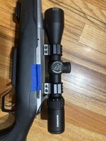 IMG_3631.jpeg