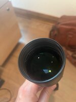 IMG_436.jpeg